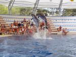 Rixos Premium Belek Dolphinarium